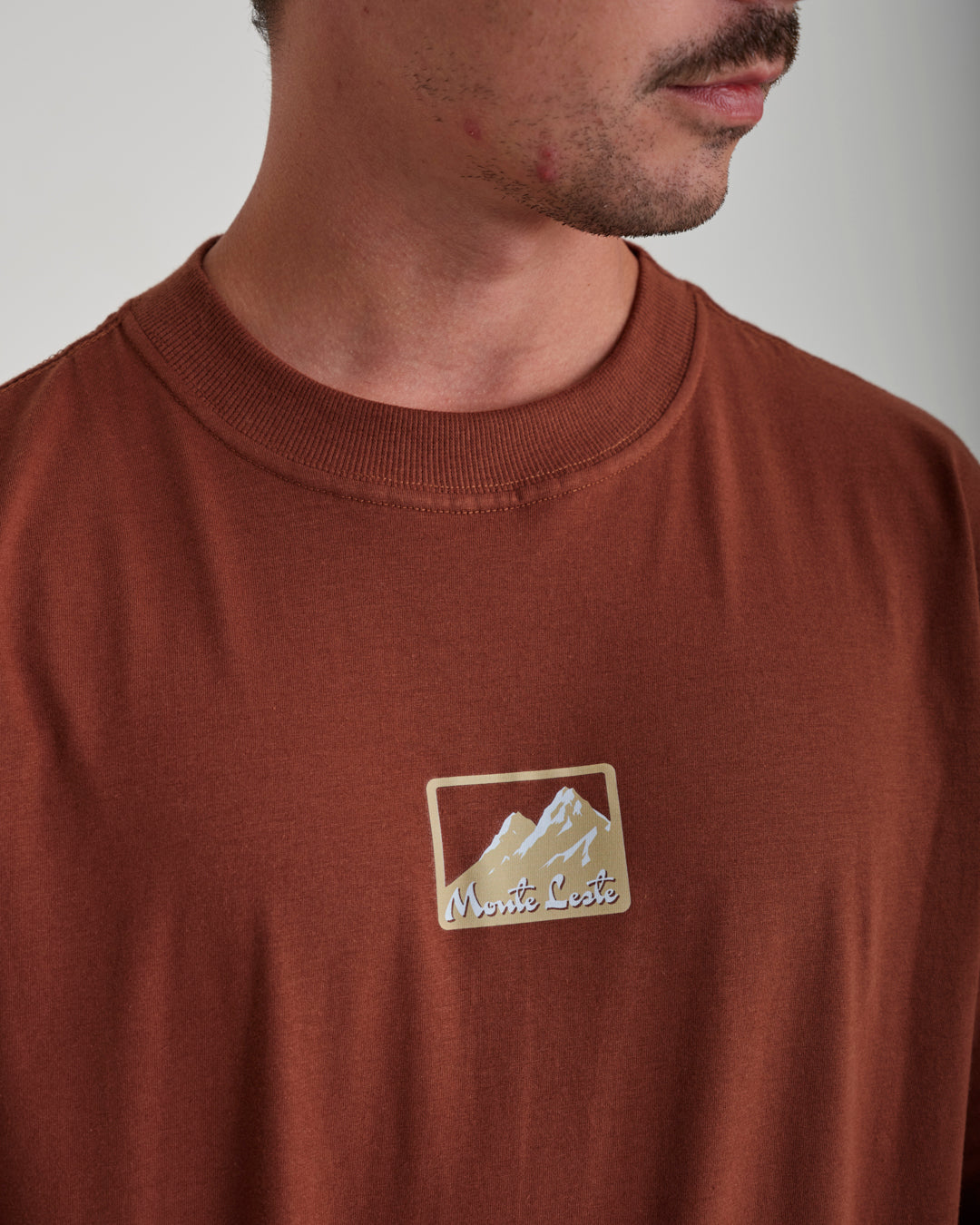 T-Shirt Oversized Printed Mont - Brown