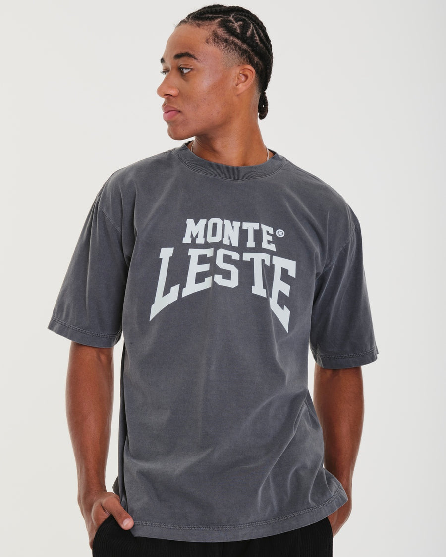 T-Shirt Oversized Printed Smart - Gray Washed